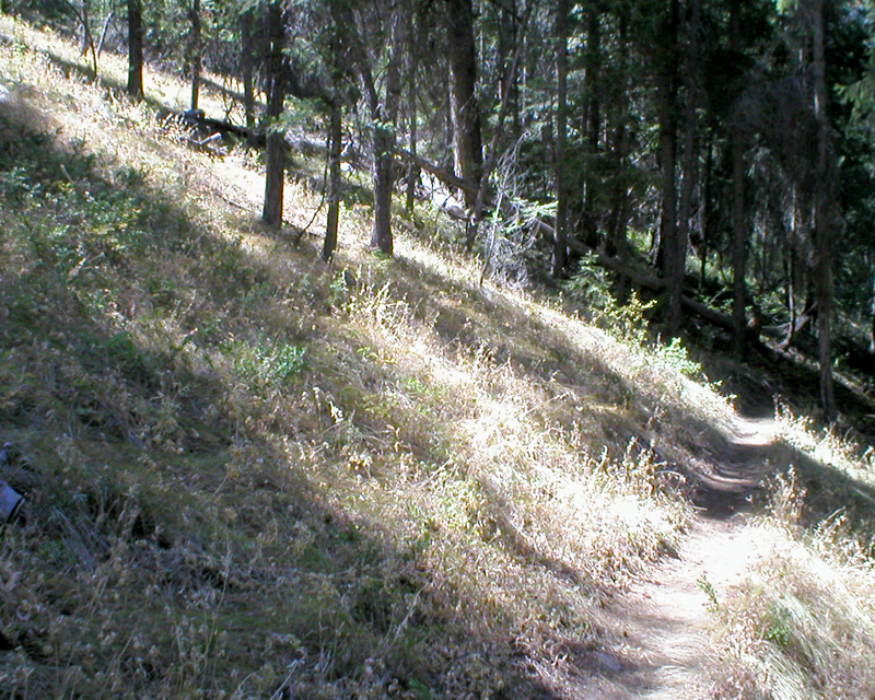 weaver trail